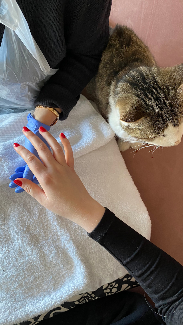 At home manicure with cat for company