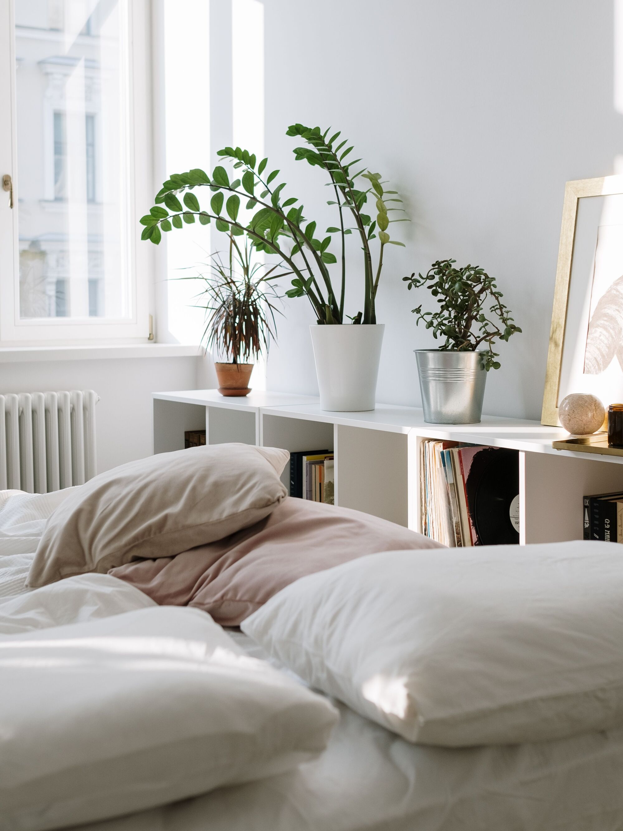 Why Your Bedroom Being Clean Might Be the Best Thing You Can Do for Your Sleep